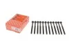 Болты головки (к-кт 12шт.) Volvo C30/S40/S60/S80/V50/V70/XC60/XC70/XC90 2.4 D5 01-14 ELRING 270.130 (фото 1)