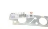 Прокладка колектора випускного Volvo C30/C70/S40/S80/V50/V70/XC70/XC90 2.4D 02- ELRING 295.140 (фото 2)