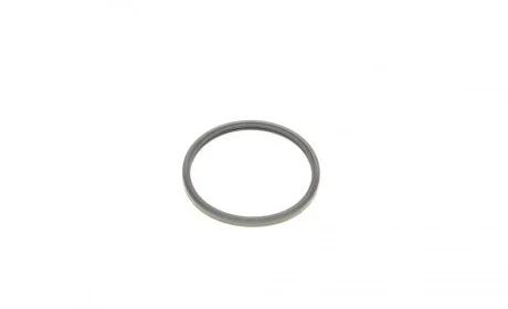 Прокладка термостата Citroen Jumper/Peugeot Boxer 2.2 HDi 06- ELRING 446.020