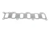 Прокладка коллектора впускного DAF CF/XF 01-13 ELRING 493.440 (фото 1)
