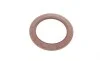 Комплект прокладок (нижний) Nissan Qashqai 1.6 07-13 ELRING 522.360 (фото 12)