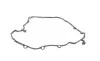 Прокладка кришки клапанів VW Caddy 1.9TDI 03- ELRING 542.000 (фото 1)