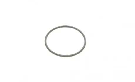 Прокладка помпы воды Ford Transit Connect 2.5 Duratec 13- ELRING 634.910