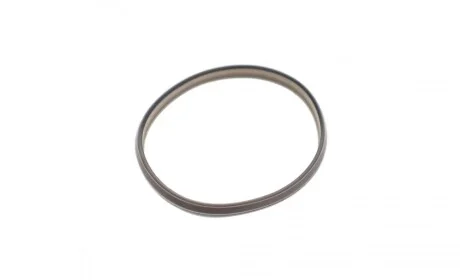 Прокладка натяжителя цепи ГРМ (кольцо) Chevrolet Aveo 1.2/1.4/Opel Astra J 1.4 09- ELRING 689.350