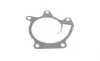 Прокладка помпы воды Nissan Qashqai/X-Trail/Renault Espace V/Megane IV 1.6/2.0 10- ELRING 703.390 (фото 2)