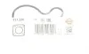 Прокладка насосу вакуумного VW Golf IV/Caddy II95-/Skoda Fabia 1.9SDI/TDI 95-07 ELRING 717.220 (фото 2)