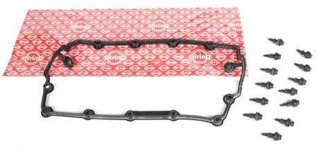 Прокладка крышки клапанов VW Golf IV 1.9 TDI 99-06 (к-кт) ELRING 726.290