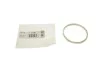 Прокладка труби вихлопної BMW 3 (E90/F30/F80)/5 (F10)/7 (F01-F04) 06- (кільце) N13/N54/N63/N74 ELRING 737.710 (фото 1)
