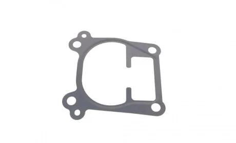 Прокладка корпуса коллектора впускного Opel Astra G 2.0/2.2 DTI 99-05 ELRING 743.970