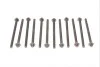 Болты головки (к-кт 12шт.) Chevrolet Aveo/Opel Astra J/Insignia/Zafira 1.2-1.4LPG 08- (M9x1.25x121) ELRING 751.970 (фото 3)