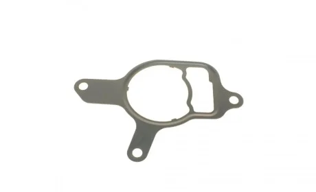 Прокладка насоса вакуумного VW Golf VI/Jetta III/IV 2.5 06- ELRING 755.020