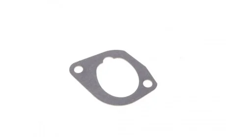 Прокладка колектора впускного BMW 5 (E34) 88-91 ELRING 774553