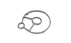 Комплект прокладок (нижний) Citroen Jumper/Jumpy/Peugeot Expert/Boxer 2.0 HDi 16- ELRING 868260 (фото 8)