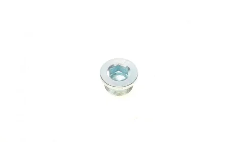 Болт слива масла (АКПП) VW Caddy/Golf/Passat/Touran/Seat Leon/Toledo 1.0-2.0TSI/TFSI 05- (M24x1.5x) ELRING 872.020