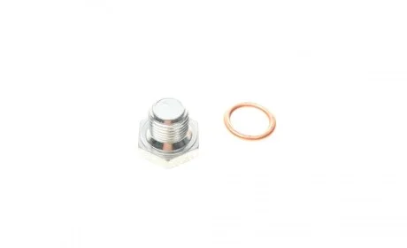 Болт зливу оливи + шайба Citroen Berlingo/Jumper/Jumpy/Peugeot Boxer/Expert/Partner 96- (M14x1.25) ELRING 877.950