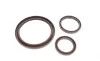 Комплект прокладок (нижний) Nissan Navara/Pathfinder 2.5 dCi 01- ELRING 903790 (фото 3)
