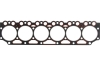 Прокладка ГБЦ. DEUTZ BF6M1013 3! 1.6. 1.6 мм ELRING 977.153 (фото 1)