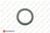 Прокладка глушника Kadett/Astra/Vectra/Combo/Omega -01 EUROREPAR 1607360880 (фото 1)