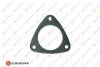 Прокладка глушника Ducato/Boxer 2.2HDI 06- EUROREPAR 1613715080 (фото 1)