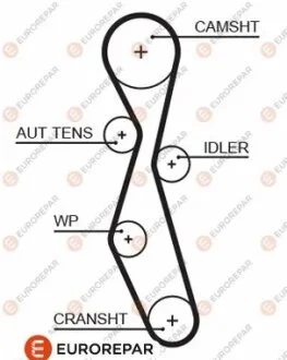 Ремінь зубчастий Z=116 CITROEN 2,0HDI: C4/5/8/Jumpy PEUGEOT 307/308/407/807/Expert EUROREPAR 1633126980
