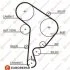 Ремінь зубчастий Z=141 AUDI A3 1,9TDI 96-01 VW 1,9TDI/SDI: Golf IV, Polo SKODA SEAT EUROREPAR 1633129480 (фото 1)