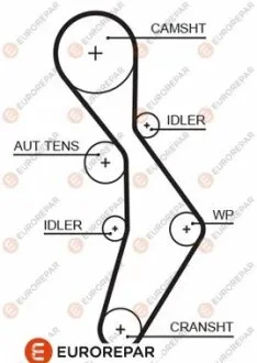 Ремінь зубчастий Z=148 AUDI 2,0FSI: A3/4/6 VW 2,0FSI: Golf V, Passat, Touran SKODA SEAT EUROREPAR 1633129980