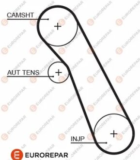 Ремінь зубчастий Z=91 FORD 1,8TD/TDCi: Fiesta, Focus 99-, Connect 02- EUROREPAR 1633130180