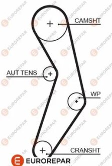 Ремінь зубчастий Z=124 FIAT 1,2i 16V: Brava, Punto 97- LANCIA EUROREPAR 1633130580