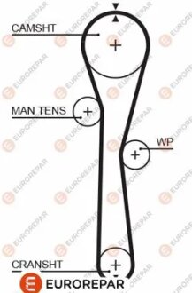 Ремінь зубчастий Z=95 RENAULT 1,2i: Kangoo, Clio, Twingo 00- EUROREPAR 1633131980