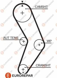 Ремінь зубчастий Z=96 RENAULT 1,4/1,6i: Megane, Kangoo, Clio II 96- EUROREPAR 1633143080