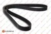 Ремінь П-клиновий 6PK1815 FORD 1,6-2,5: Escort, Fiesta, Mondeo 92-00 EUROREPAR 1635045780 (фото 1)