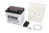 Аккумулятор EXIDE Y60N24LAEXIDE (фото 2)