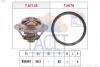 Термостат Renault Megane III (09-), Fluence (10-), Koleos (13-) 2.0 16V, 2.0 TCE FACET 78713 (фото 1)
