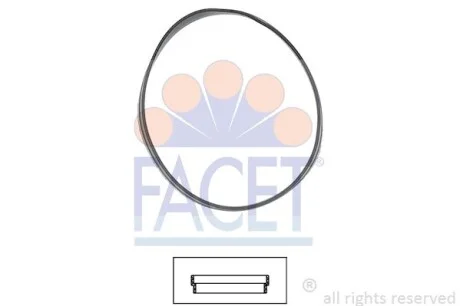Уплотнительное кольцо термостата Bmw 3 316 ci (00-06) FACET 7.9631