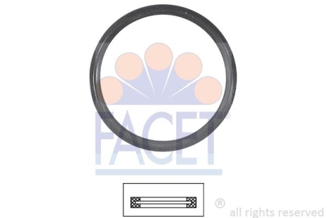 Кільце ущільнювача термостата Ford Fusion 1.4 (02-12) FACET 7.9675 (фото 1)