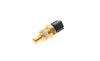 Датчик температуры охлаждающей жидкости Fiat Ducato 2.0 JTD 01-02 (2 конт.) FAE 33335 (фото 6)