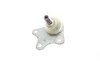 Рычаг подвески (передний/снизу) (L) Seat Cordoba/Ibiza 02-09/Skoda Fabia 99-14/Roomster 06-15(с шар) FAG 824 0003 30 (фото 3)