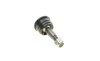Опора кульова (передня/знизу) Toyota Land Cruiser 3.0/3.4 96-02 FAG 825 0014 10 (фото 2)