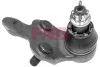 Опора шаровая (передняя/снизу/R) Lexus RX 06-08/Toyota Camry 01-06 FAG 825 0152 10 (фото 1)