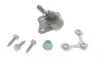 Опора шаровая (передняя/снизу/R) Audi A3 -93/VW Golf IV -06 FAG 825 0173 10 (фото 1)