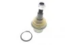 Опора кульова (передня/знизу) Land Rover Discovery/Range Rover 2.7TD-4.4 04-09 FAG 825 0485 10 (фото 1)