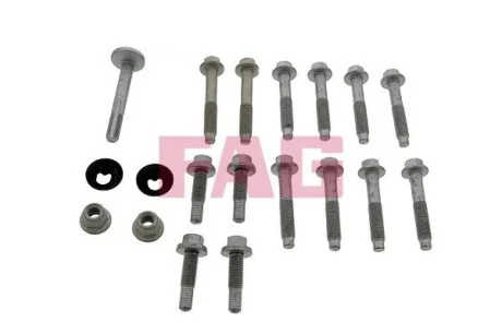 Комплект болтов рычага Ford C-MAX (DM2), 02/07 - 09/10 FAG 827 0006 30