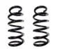 Пружина передняя комплект RENAULT Trafic 00-14; NISSAN Primastar 02-14; OPEL Vivaro 01-14 FAST FT12249K (фото 1)