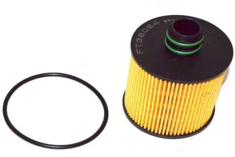 Фильтр масляный 1.6MJET 16V,2.0MJET 16V,1.9MJET 8V,2.0MJET 16V Fiat Doblo 09-23, Fiat Ducato 06-14, Opel Combo D 11-18 FAST FT38084