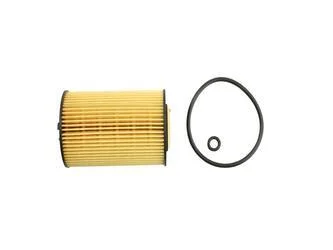 Фільтр масляний 1.6TDI 16V,2.0TDI 16V VW Golf VI 09-14, Audi A6 11-18, Skoda Octavia A7 13-19 FAST FT38098