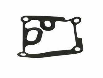 Прокладка масляного насосу Ford Connect 02 1.8Tddi/Tdci FAST FT38801