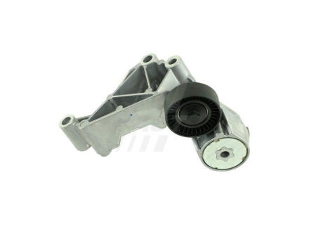 Натягувач Ременя Micro-V FORD Transit Connect 02- Кпл 1.8 Tdci FAST FT44622