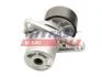 Натягувач ременя генератора Renault Trafic III, Megane (III,IV)/ Nissan Qashqai (06-) 1.6d FAST FT44689 (фото 2)