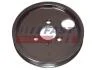 Шків насосу ГПК Citroen Jumper/Fiat Ducato/Peugeot Boxer 2.2 HDi/JTD 06- FAST FT45597 (фото 1)