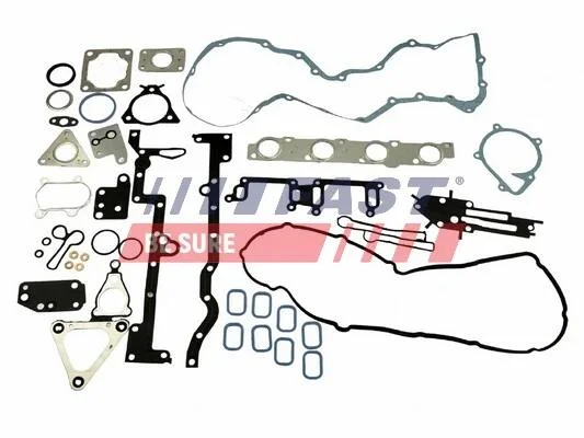 Комплект прокладок двигуна повний Ford Transit 2.4 TDCi (06-) Fast FAST FT48073 (фото 1)